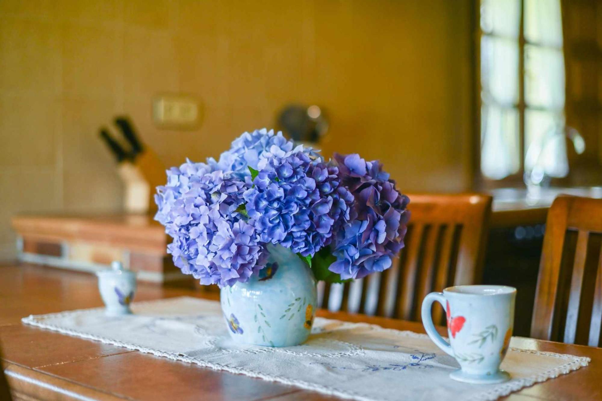 Apartamentos Rurales El Cuetu Picones  エクステリア 写真